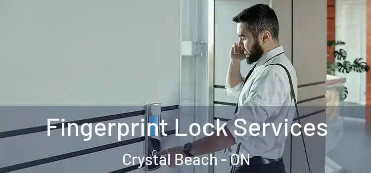 Fingerprint Lock Services Crystal Beach - ON