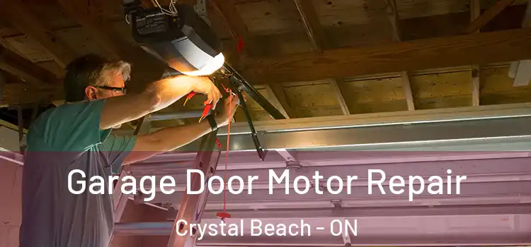  Garage Door Motor Repair Crystal Beach - ON