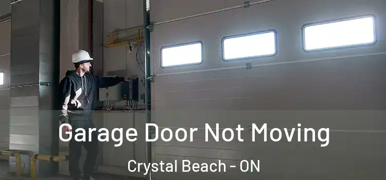  Garage Door Not Moving Crystal Beach - ON