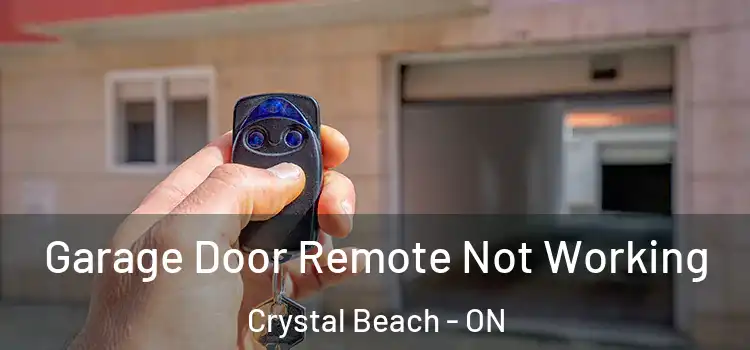  Garage Door Remote Not Working Crystal Beach - ON